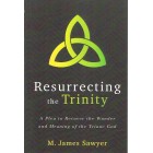 \. Resurrecting The Trinity By M James Sawyer